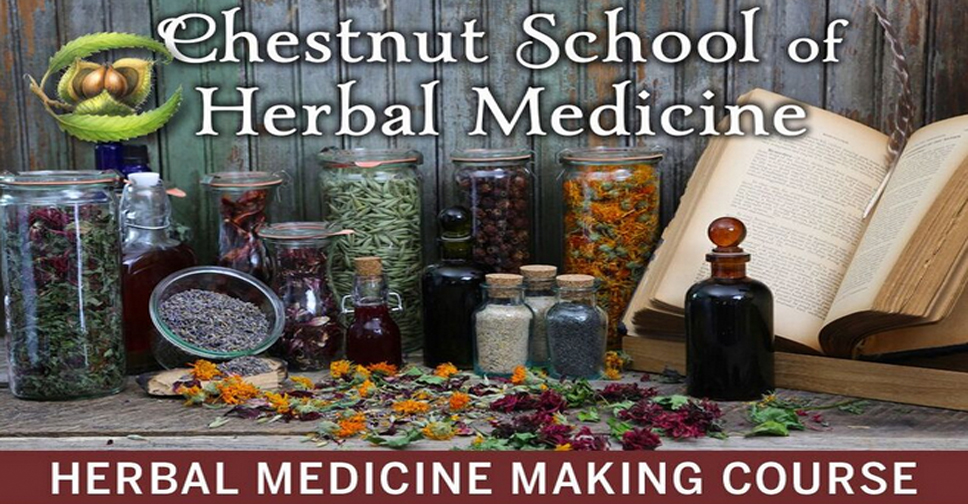 Online Herbalism Course | Chestnut School of Herbal Medicine