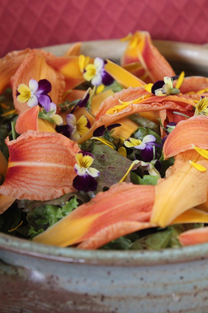 Daylily, calendula and heart's ease salad