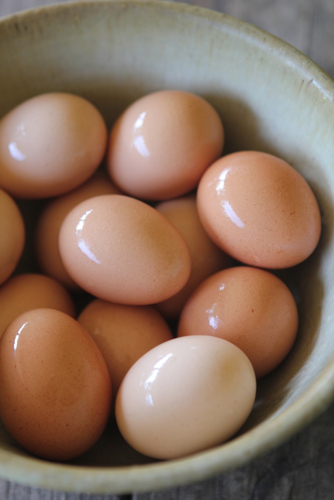 A bowl of freshly washed chicken eggs.
