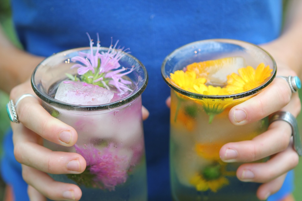 Image result for edible flower ice cube drink