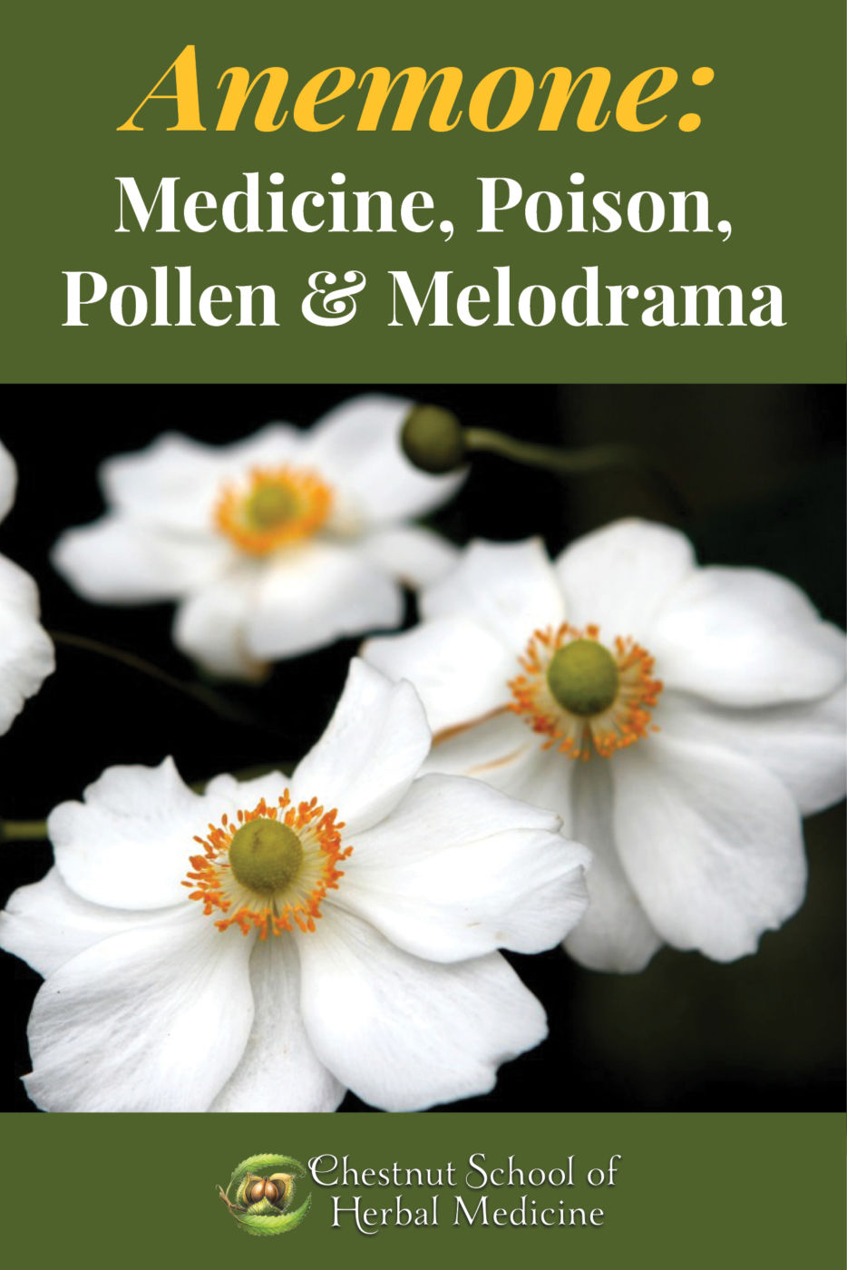 Anemone: Medicine, Poison, Pollen, and Melodrama graphic