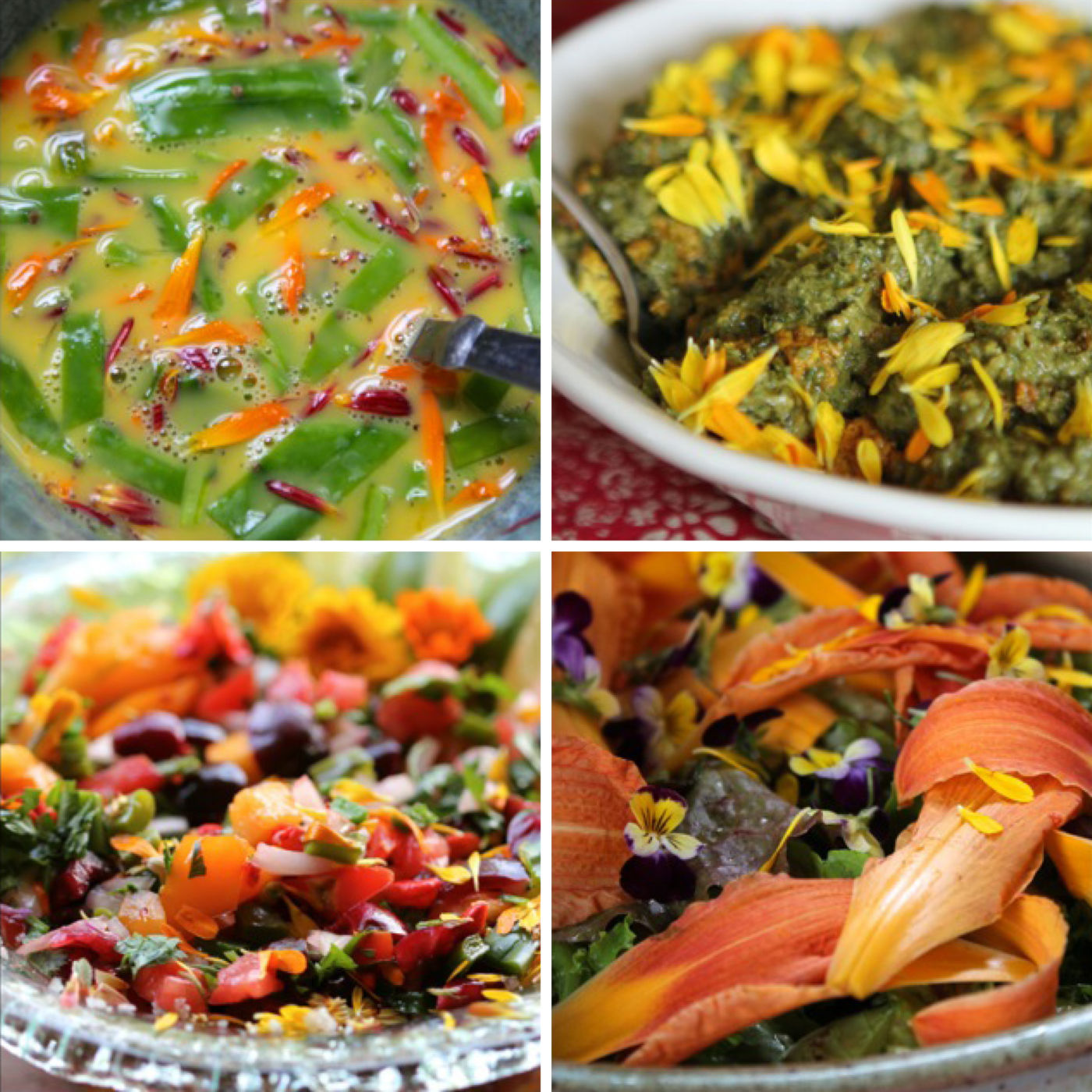 Dishes made with calendula flowers