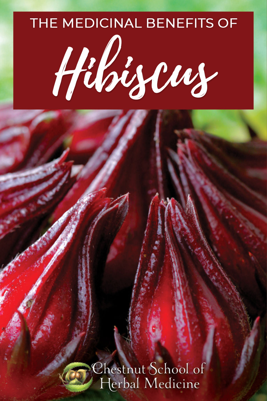 The Medicinal Benefits of Hibiscus