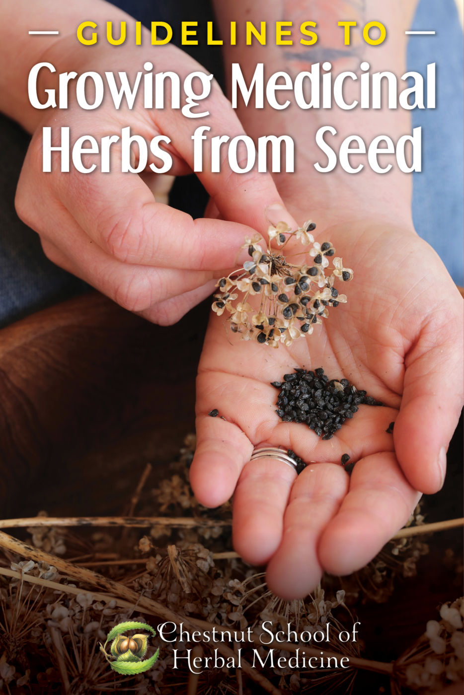 Growing Medicinal Herbs from Seed