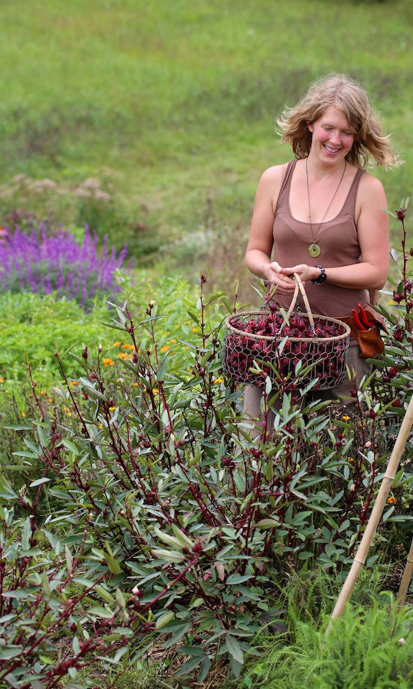 Herbal Immersion Program Herbal Immersion Program