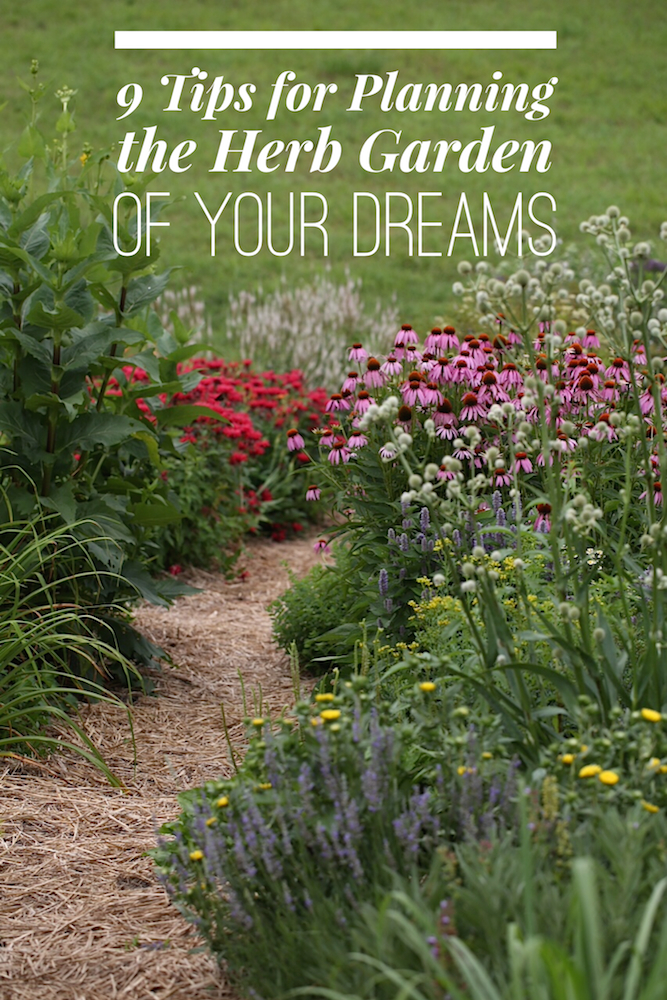 9 Tips for Planning the Herb Garden of Your Dreams