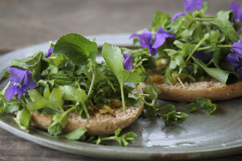 Fresh violet and chickweed on a bagel with garlic sauce