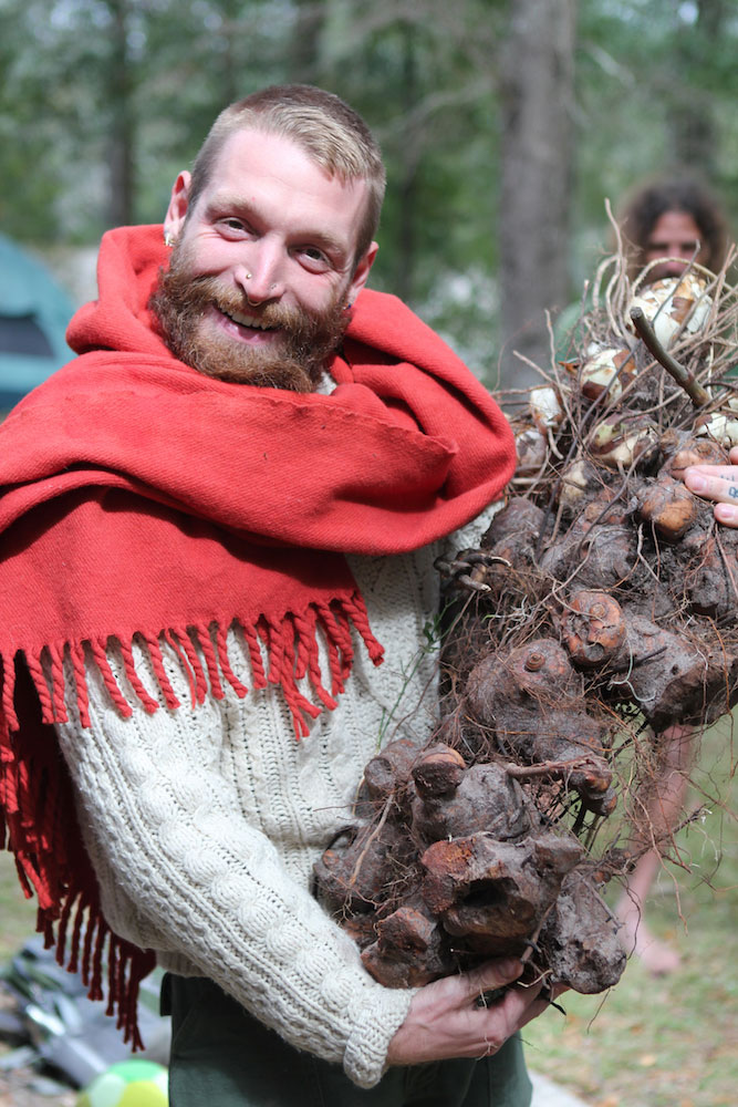 A person wearing a red scarf holds a giant sarsaparilla root.