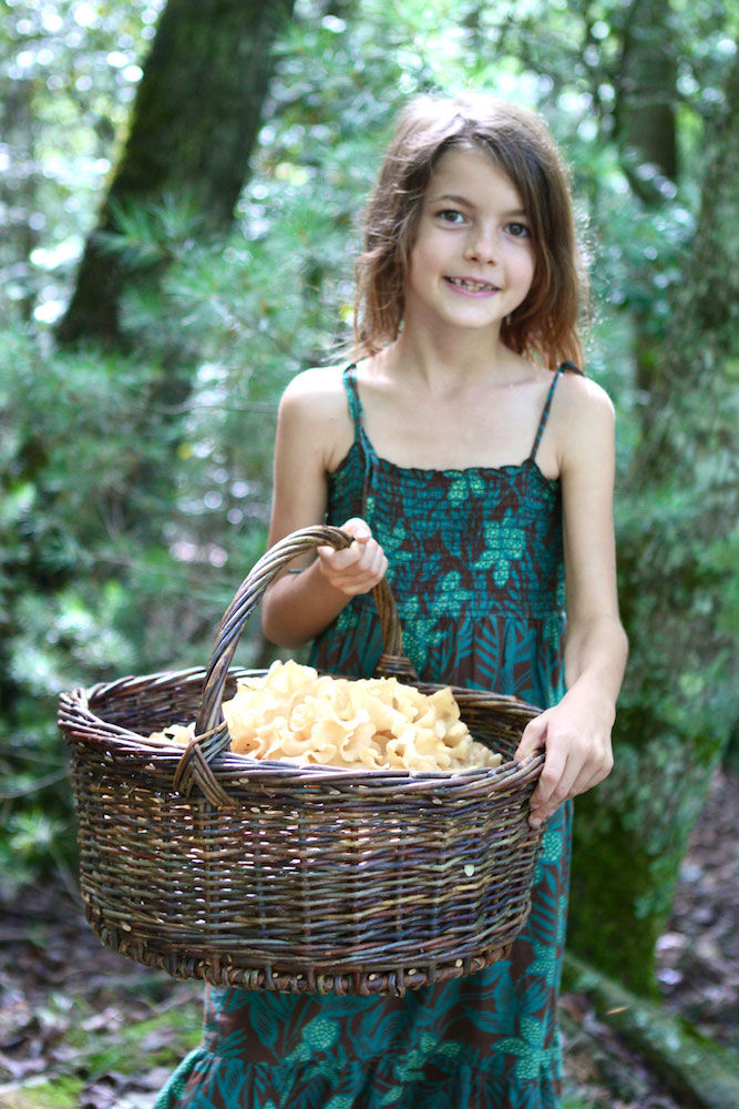 A child holds a basket of harvested cauliflower mushroom.