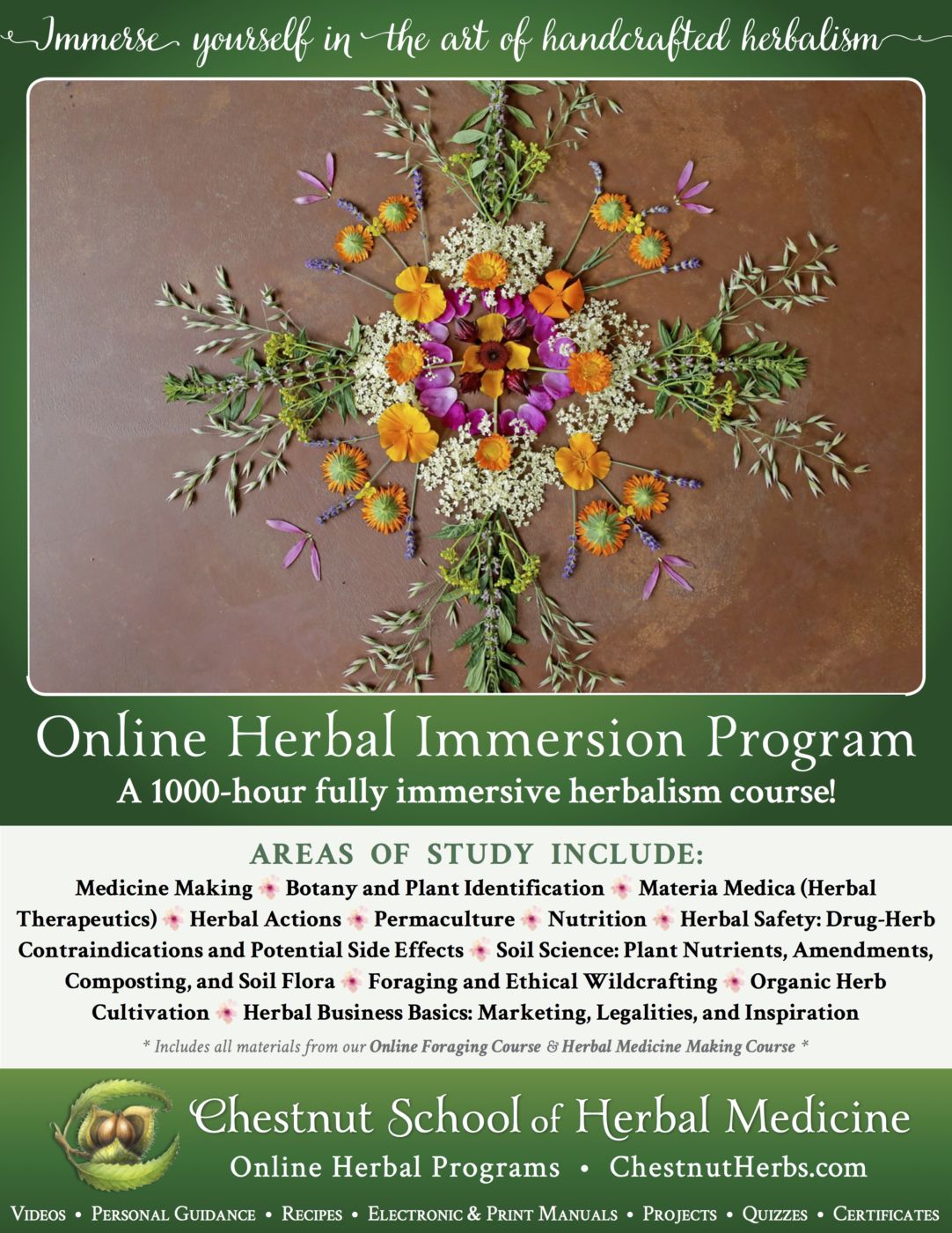 The Chestnut School of Herbal Medicine online Herbal Immersion Program.