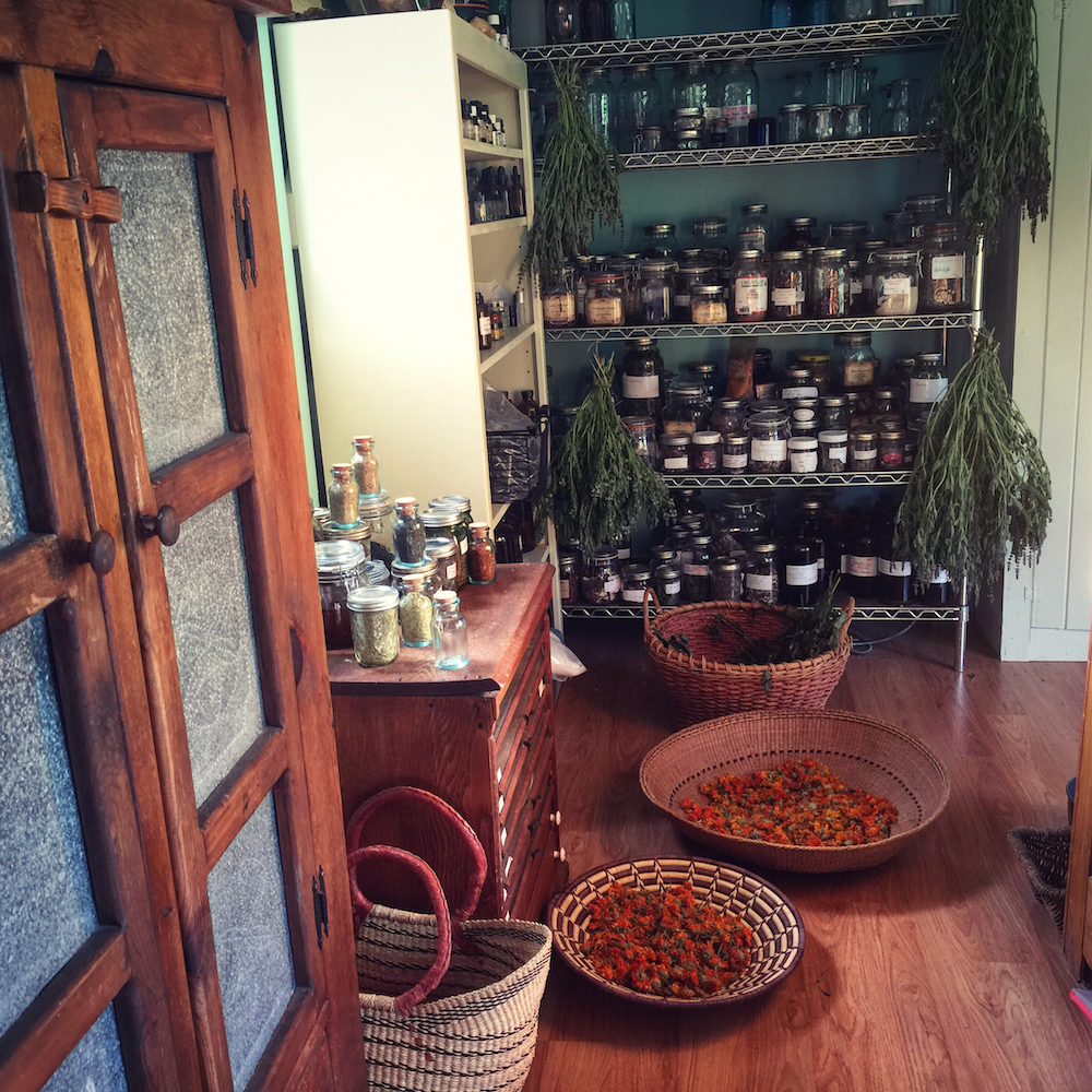 Juliet Blankespoor's apothecary is full of herbal medicine.