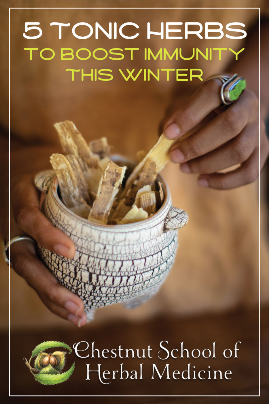 5 Tonic Herbs to Boost Immunity this Winter