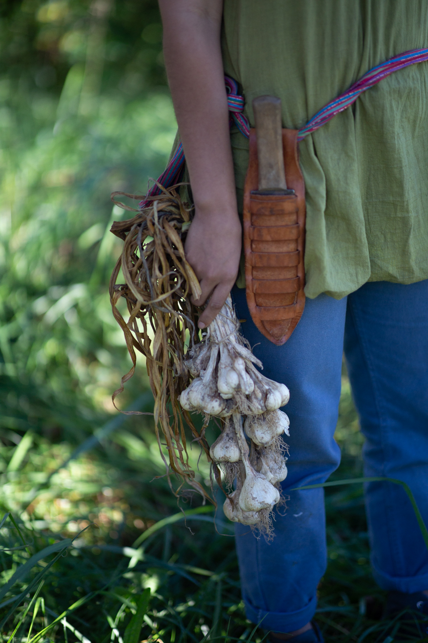 An herbalist holding a handful of garlic.