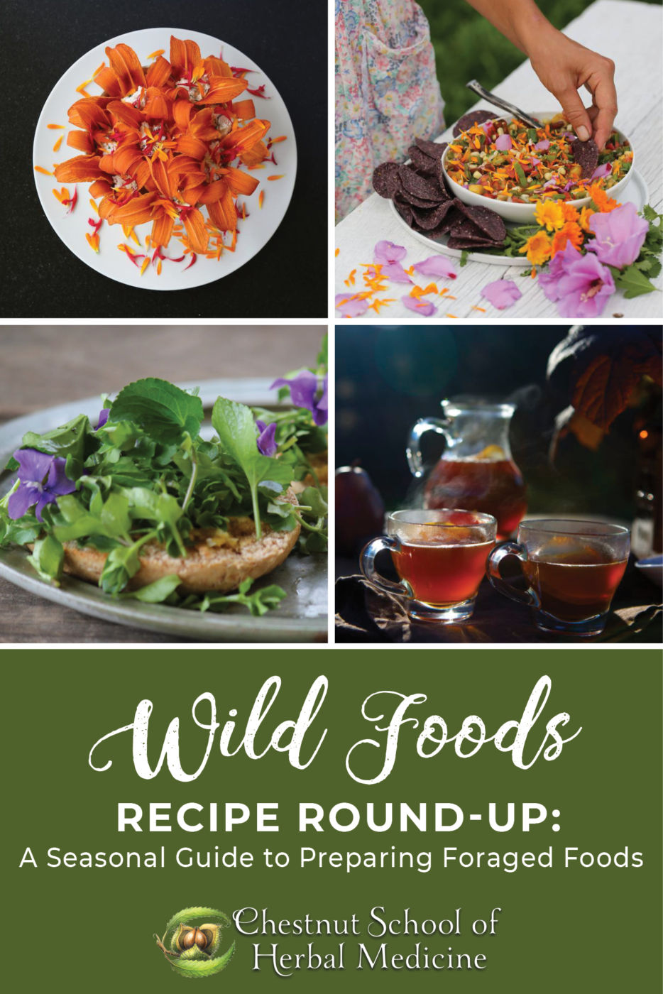Wild Foods Recipe Round-Up
