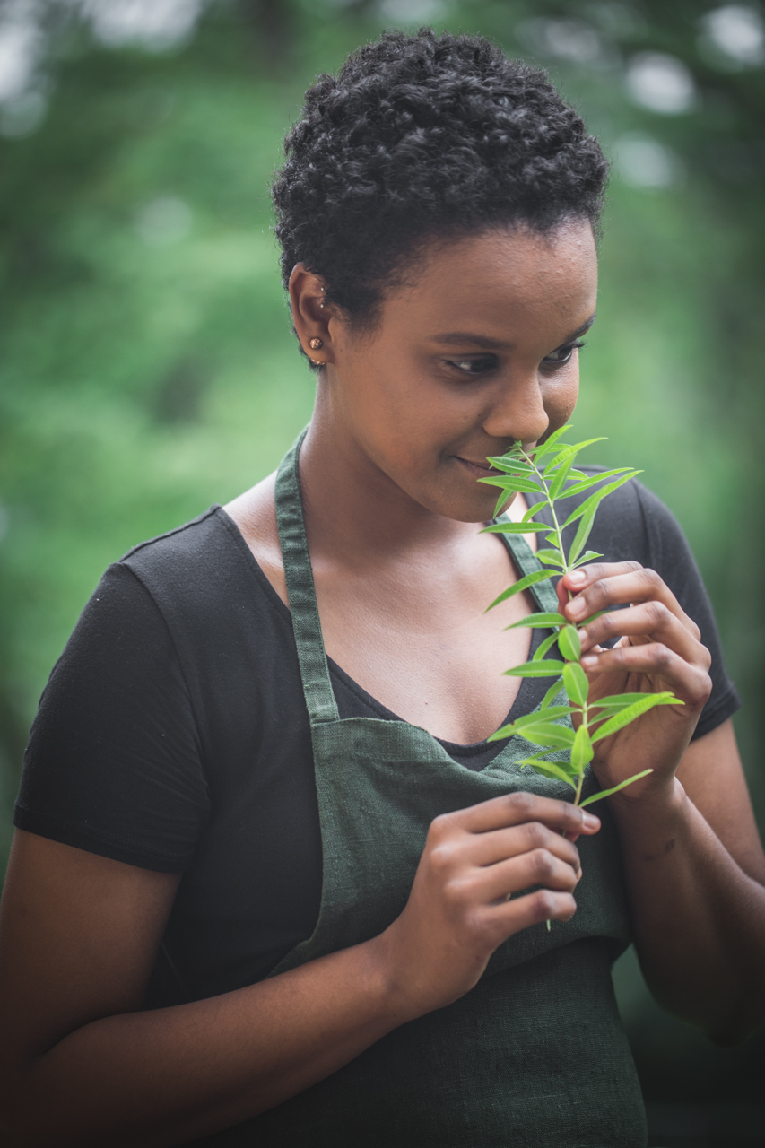 A person smelling a sprig of Lemon verbena. Aloysia citriodora is great for container gardening.