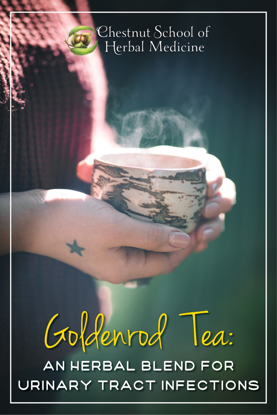 Goldenrod Tea An Herbal Blend for Urinary Tract Infections