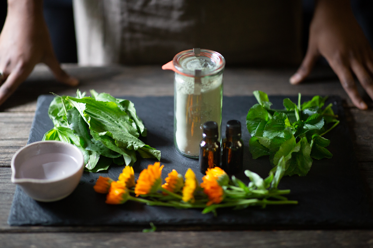Ingredients for a soothing herbal poultice: calendula flowers, plantain, violet leaves, clay, water, and essential oils