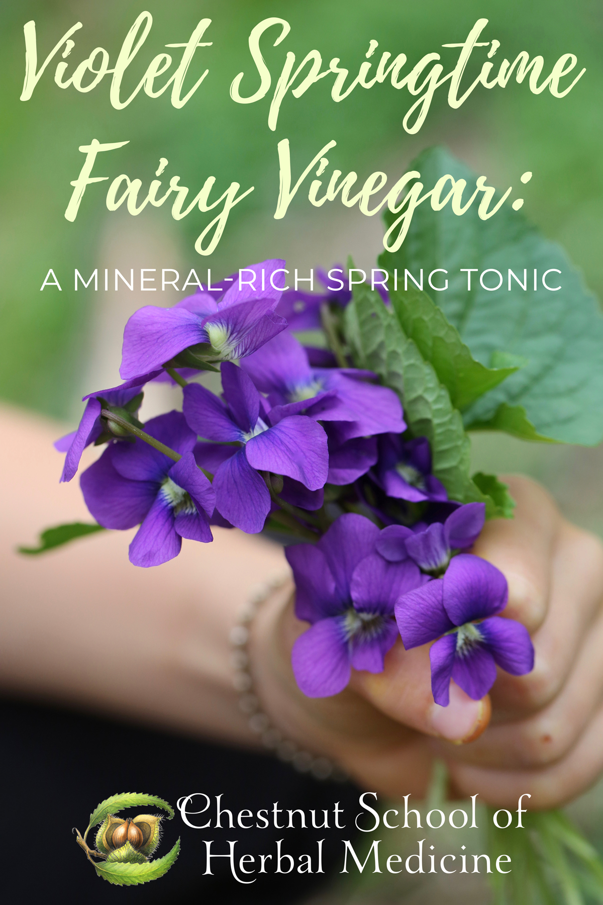 Violet Springtime Fairy Vinegar: A mineral-rich spring tonic.
