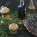 A jar of Maple Medicinal Mushroom Concoction.