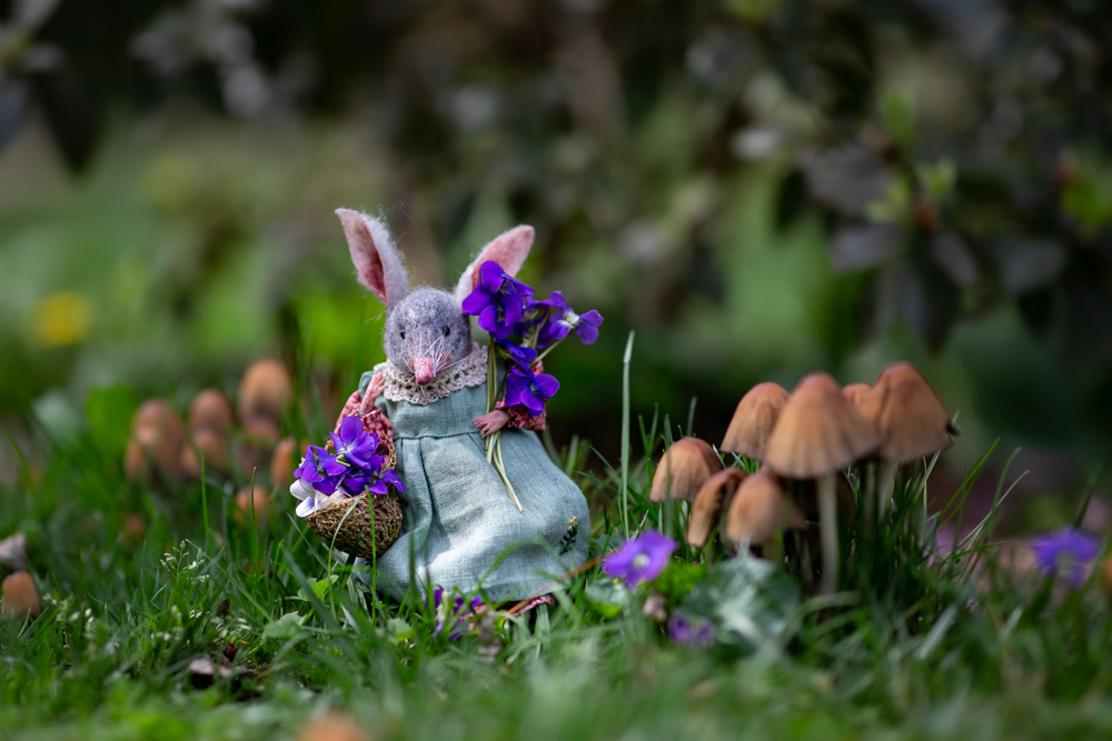 Gathering violets for medicinal and culinary concoctions (Felted bilby figure created by Johana of Rustles in the Meadow).