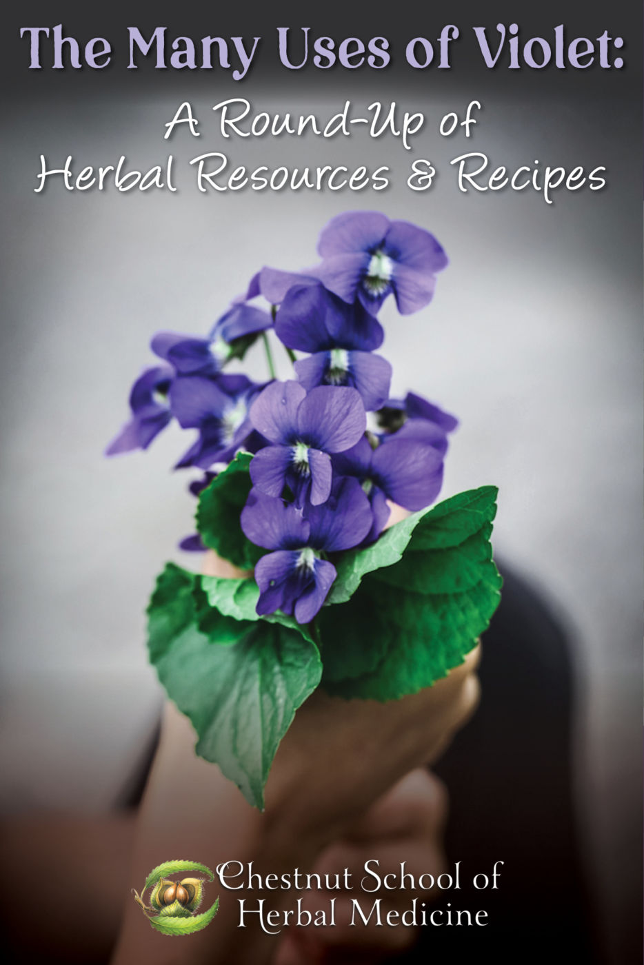 The many uses of violet: a round-up of herbal resources & recipes.