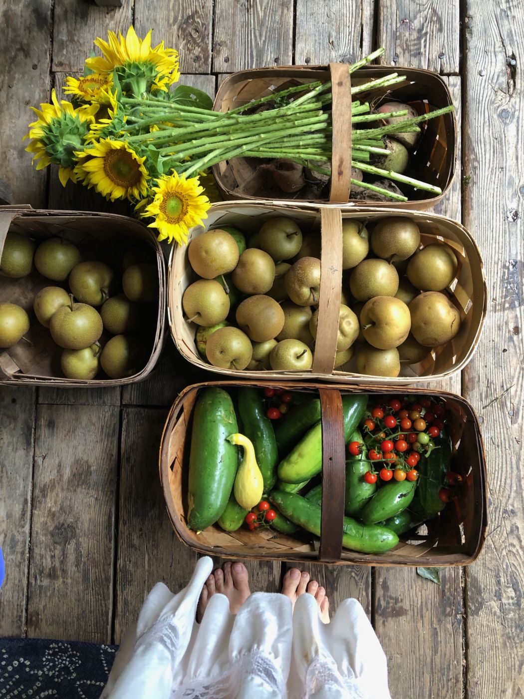 Baskets of all sizes and shapes come in handy—from seed saving to planting to harvesting!