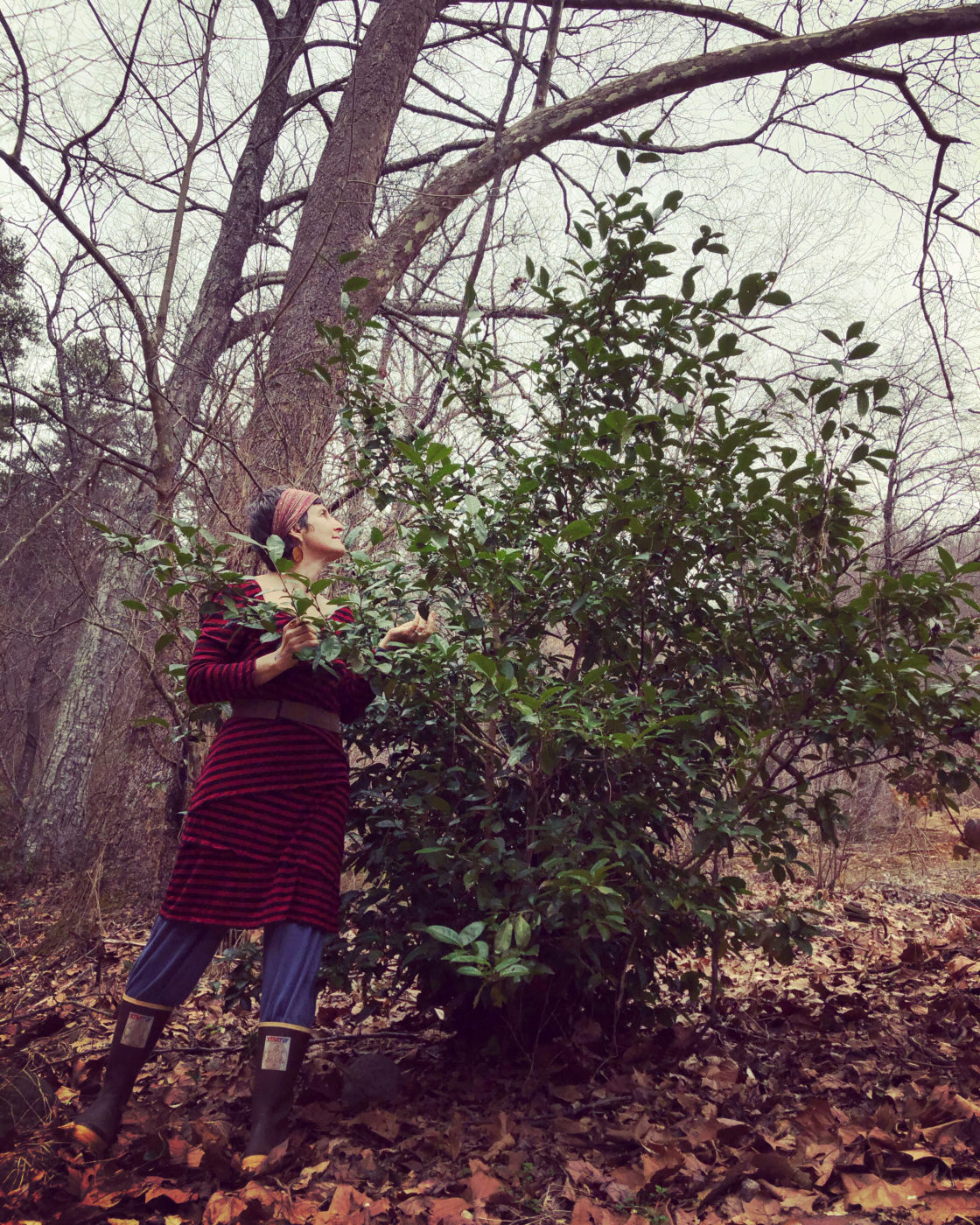 Mary Plantwalker in the woodland garden with her true tea shrub, Camellia sinensis.