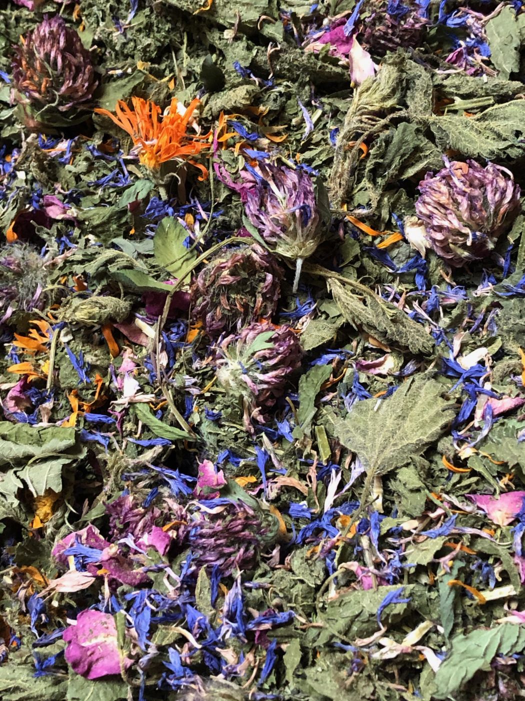 You can use either fresh or dried herbs in your ceremony. Pictured here is blend of dried nettle (Urtica dioica), lemon balm (Melissa officianlis), anise hyssop (Agastache foeniculum), bachelor button (Centaurea cyanus), red clover (Trifolium pratense), rose (Rosa spp.), and calendula (Calendula officinalis) served in an Appalachian Tea Ceremony.