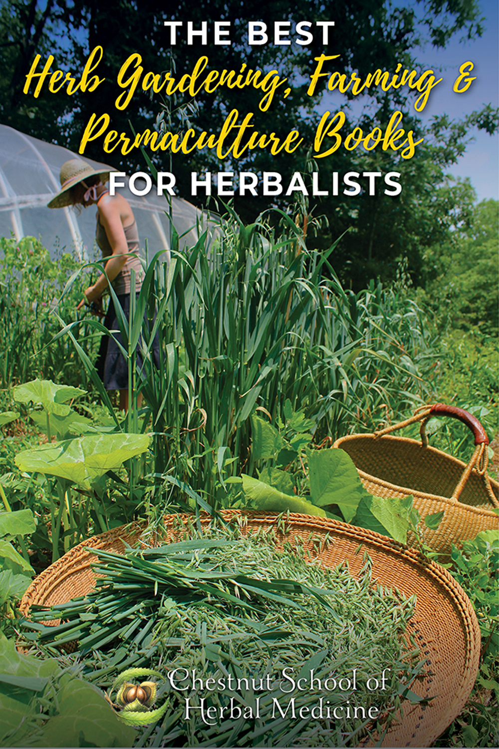 The Best Herb Gardening, Farming & Permaculture Books For Herbalists.