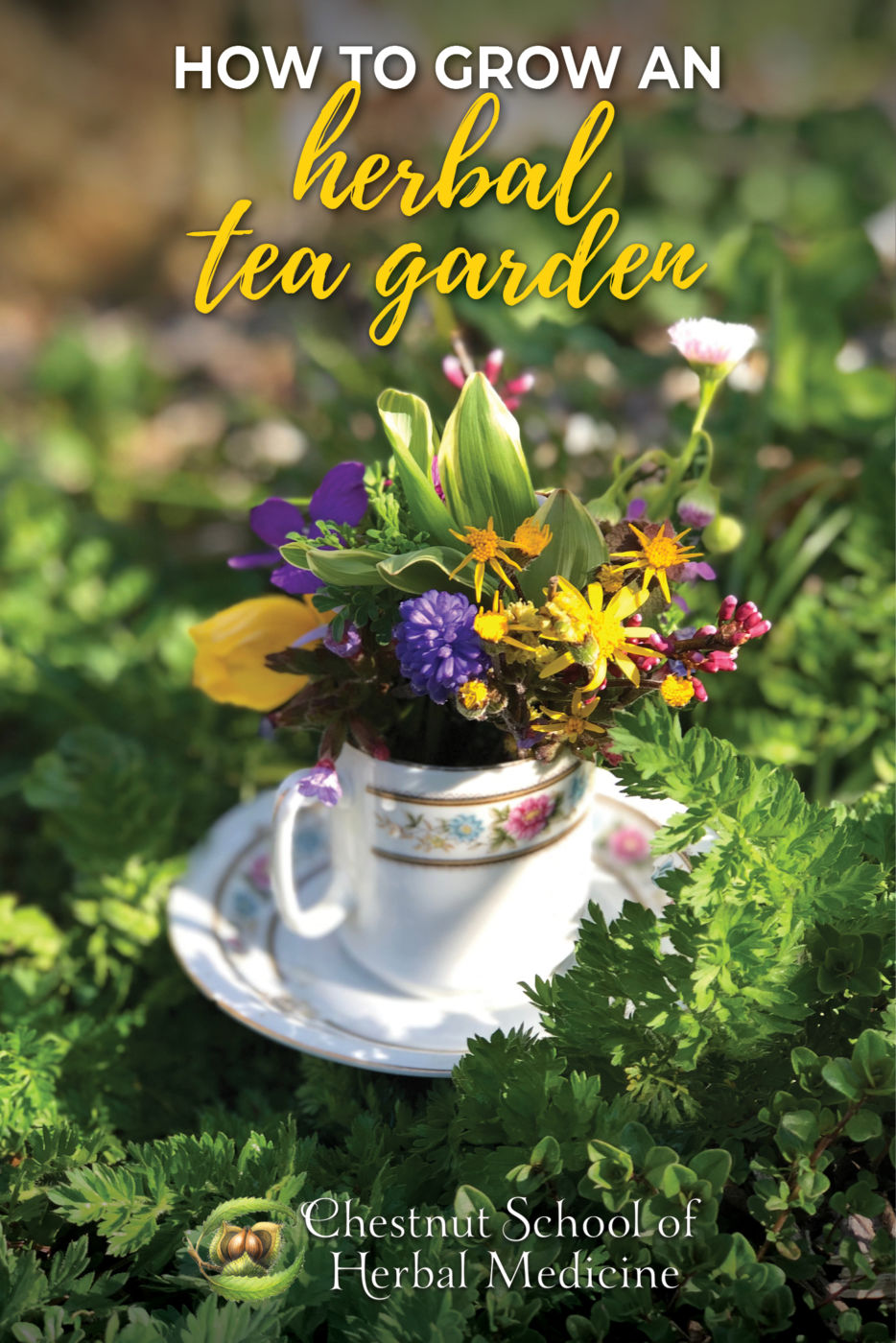 How to Grow an Herbal Tea Garden.