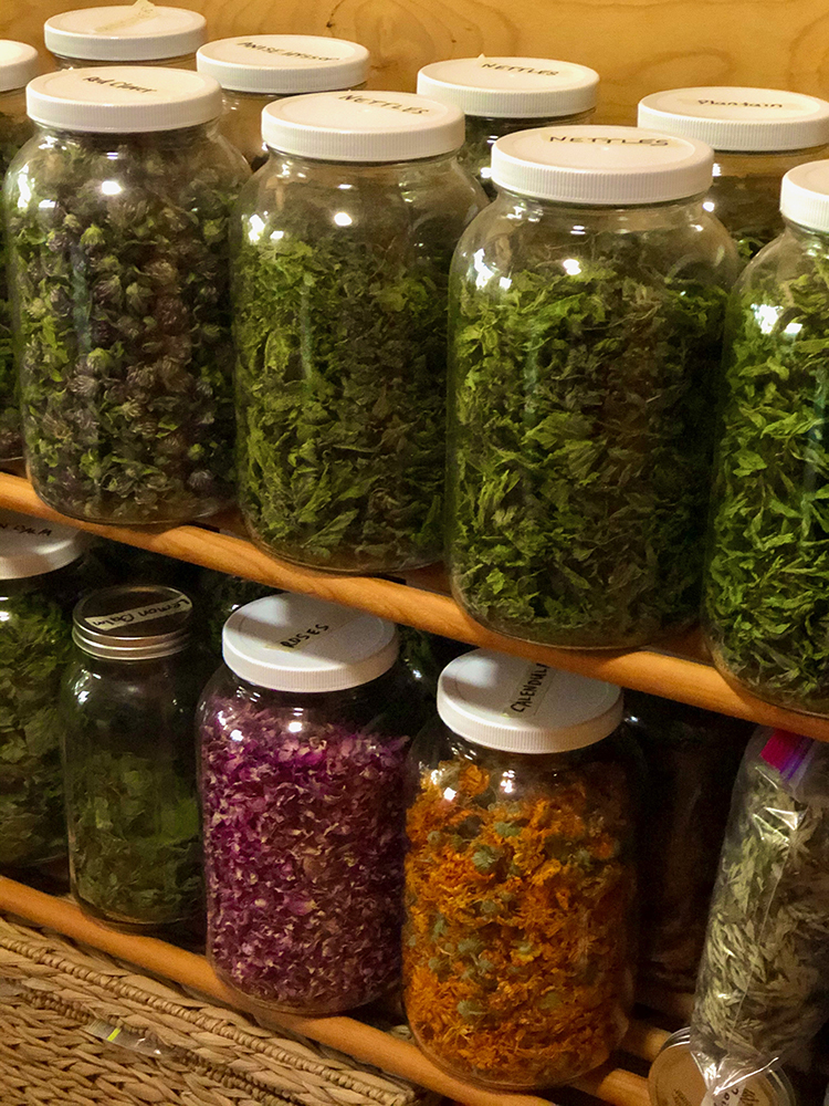 Jars of dried herbs lined up on wooden shelves.