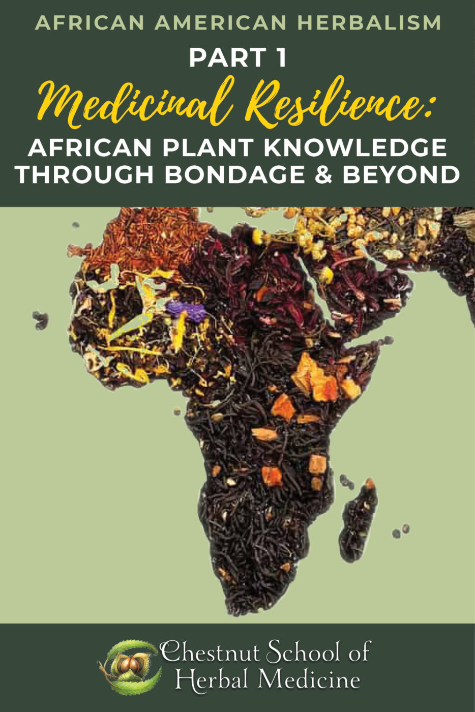 African American Herbalism Part 1: Medicinal Resilience.
