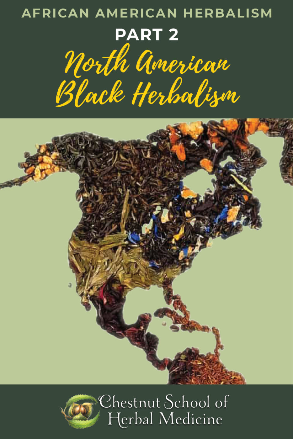 African American Herbalism Part 2: North American Black Herbalism.