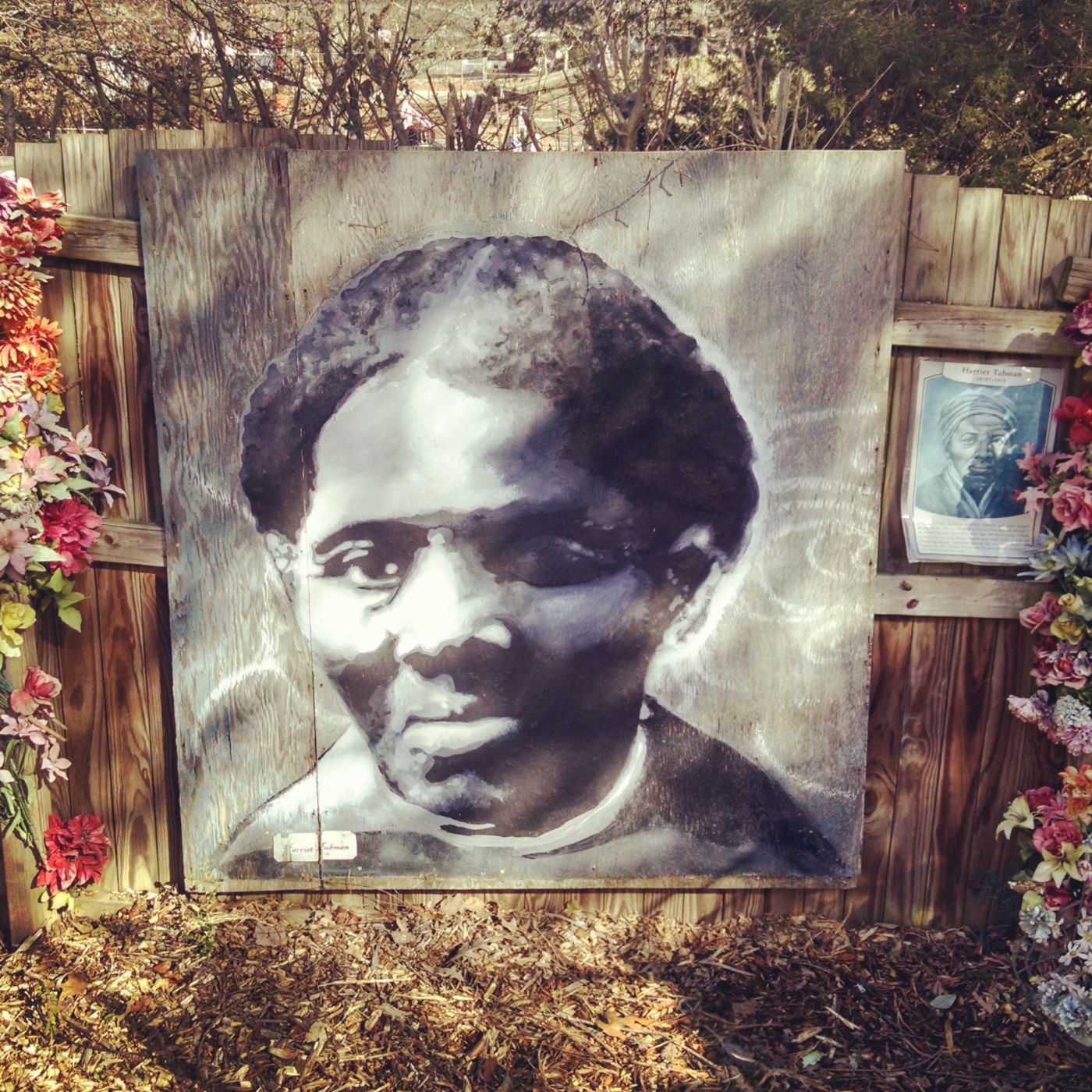 A mural of Harriet Tubman in place at the Burton Street Garden in Asheville, North Carolina.