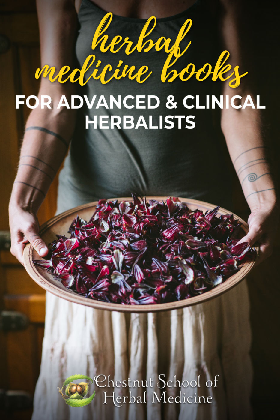 Herbal Medicine Books for Advanced & Clinical Herbalists.