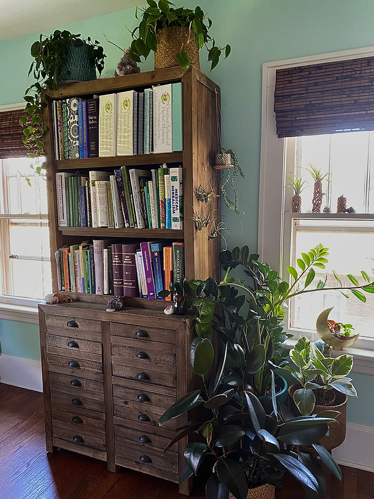 Green plants surrounding a wooden bookcase filled with herbalism books.