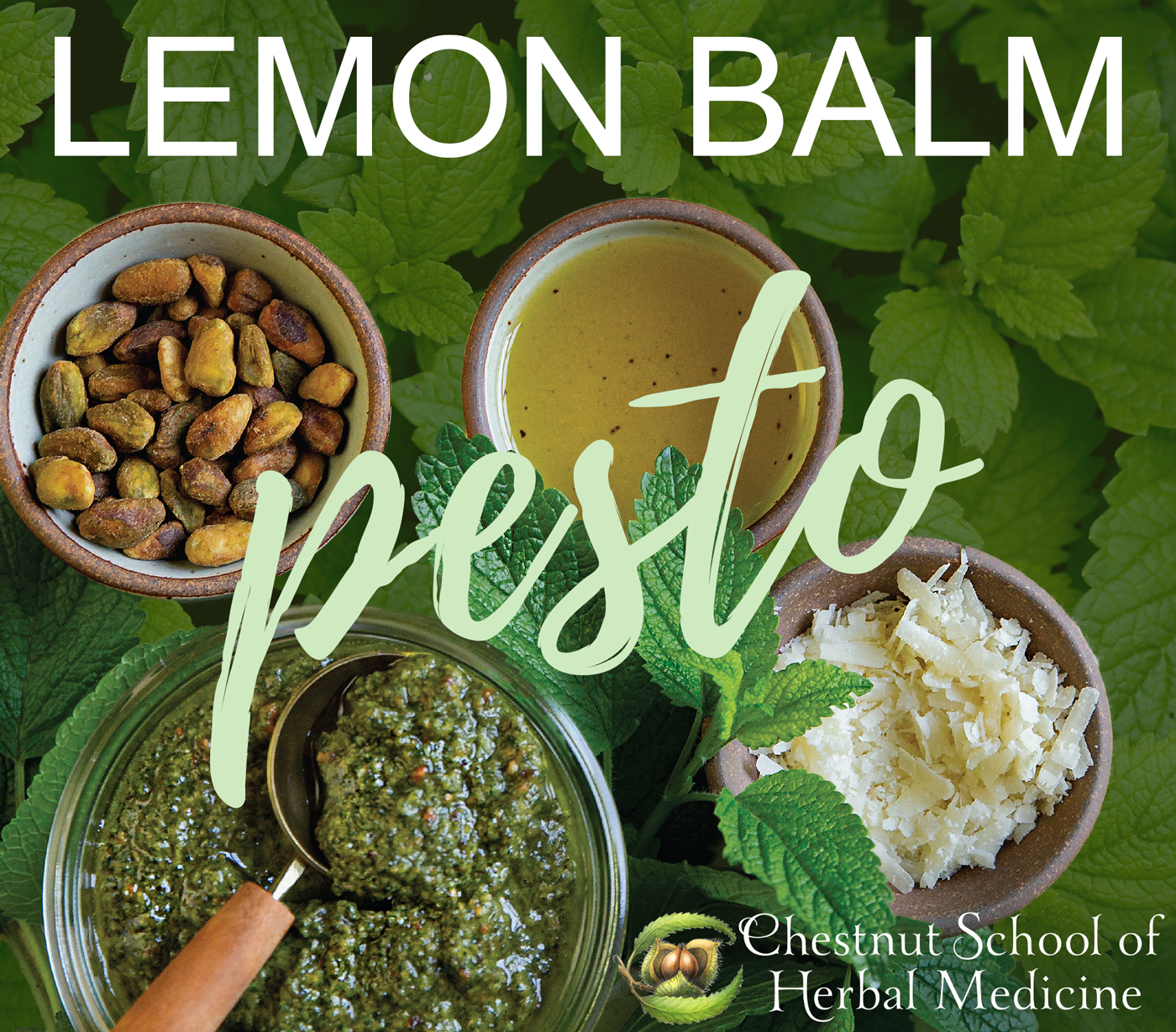 Lemon Balm Pesto.