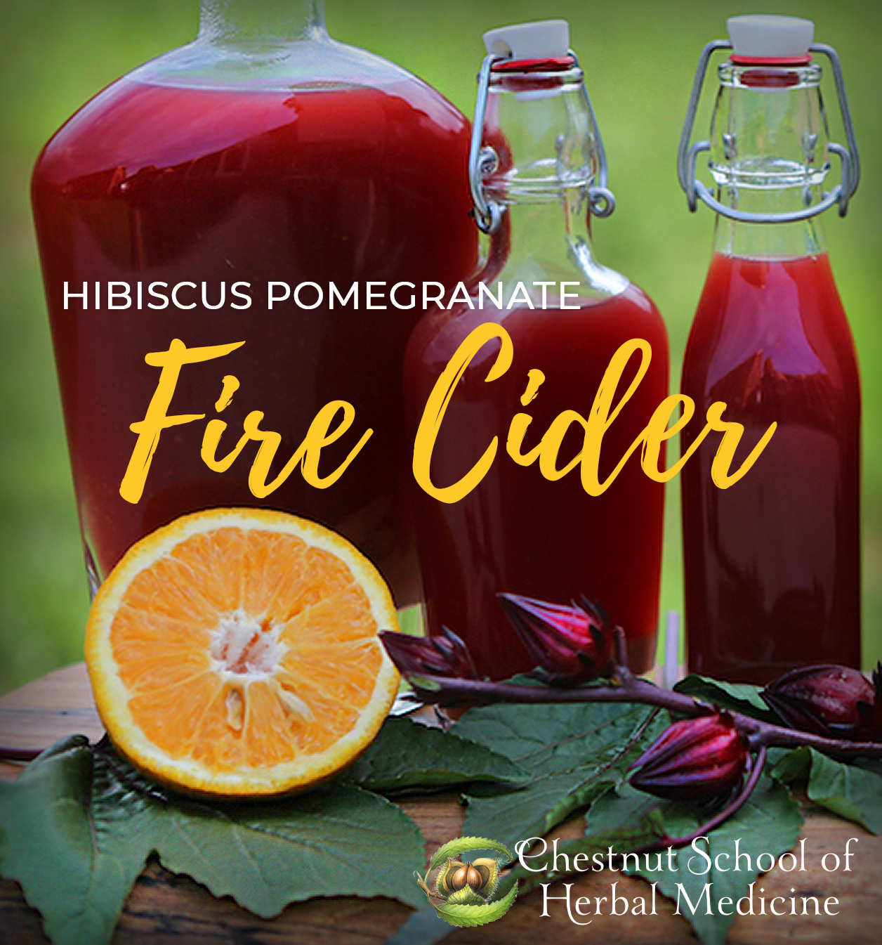 Three bottles of Hibiscus Pomegranate Fire Cider sit on a table with half an orange and fresh hibiscus flowers.