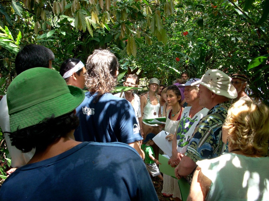 A group of people gather under a tree canopy during a plant walk led by Mary Plantwalker.