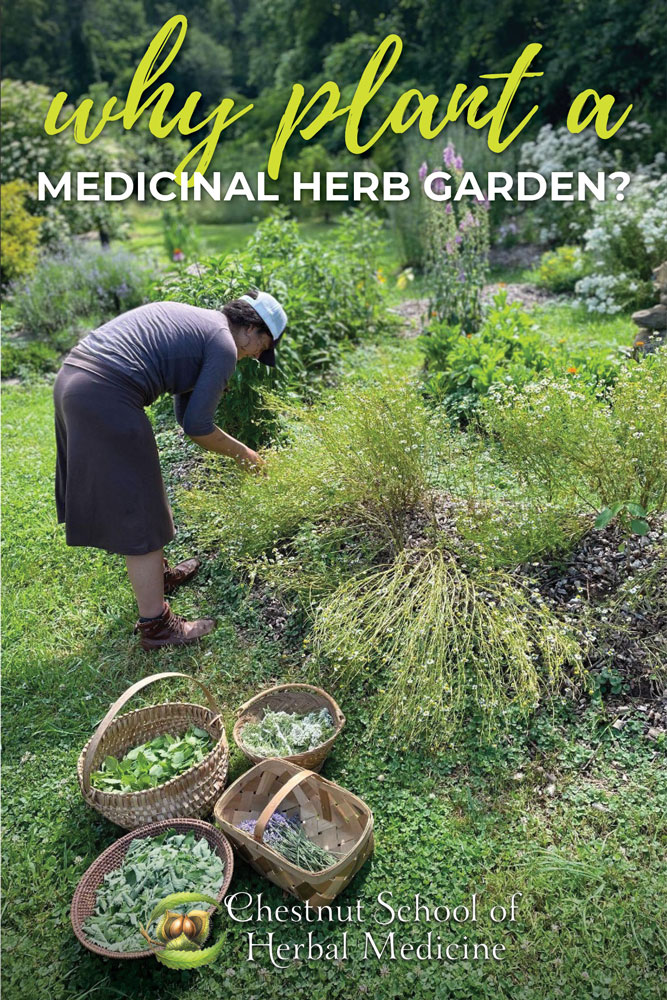 A person tending their garden near baskets of harvested herbs.
