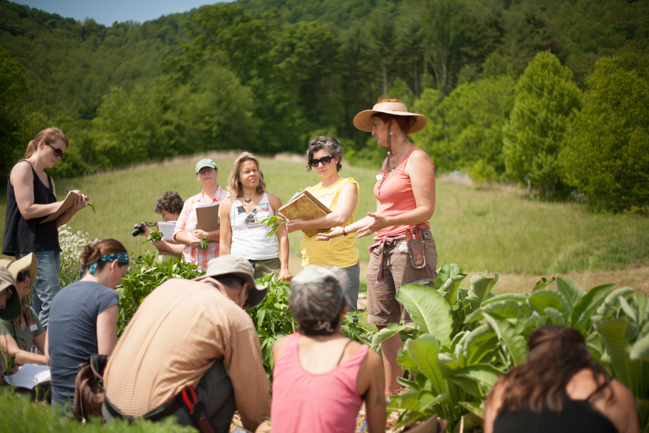 Juliet Blankespoor teaching medicinal herb gardening at her farm in NC. Photograph by Emily Nichols.