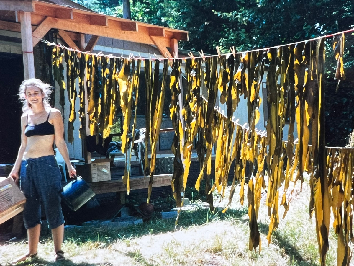 Becoming an Herbalist: Juliet Blankespoor hanging seaweed to dry on her journey to becoming an herbalist.