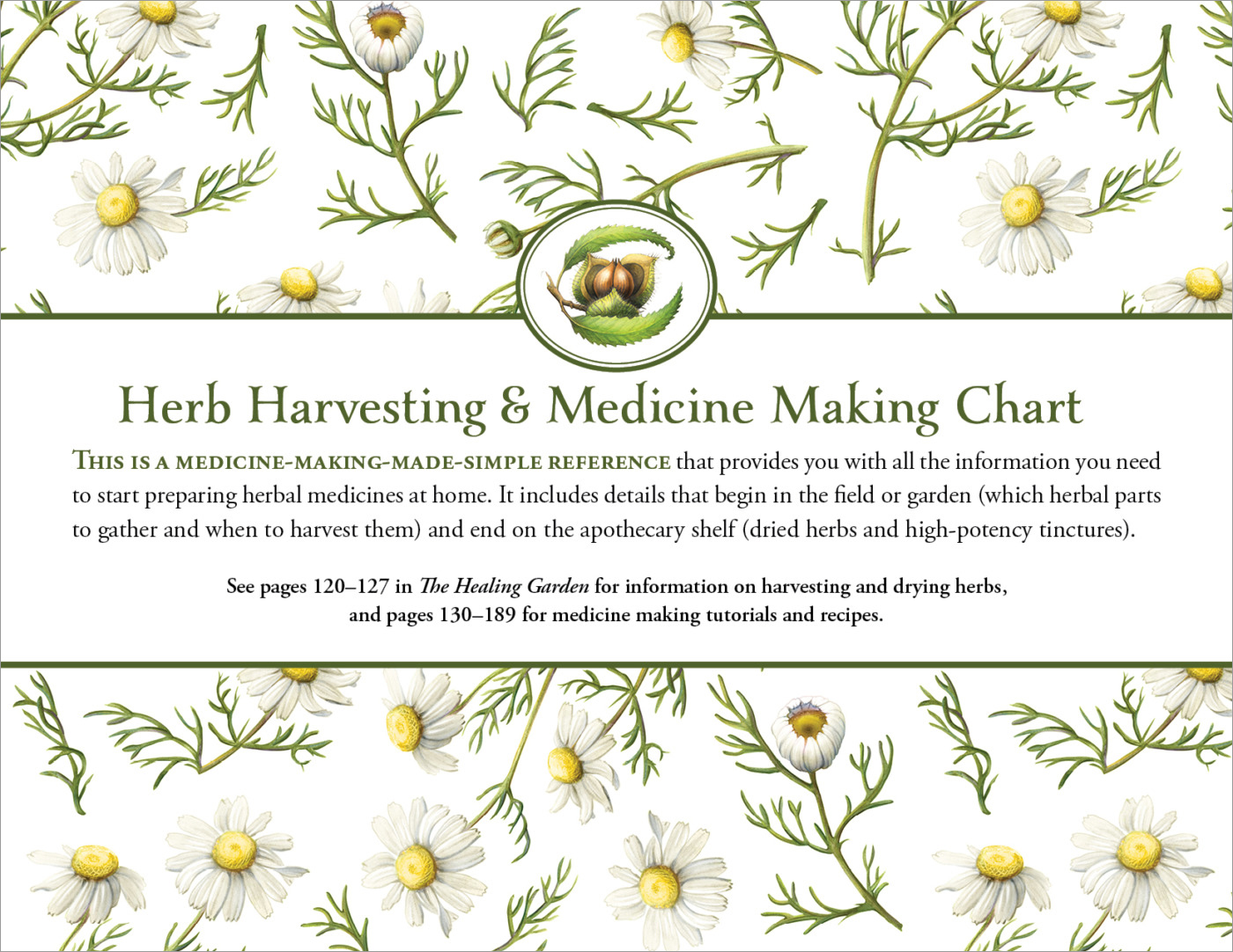 Herb Harvesting & Medicine Making Chart by Juliet Blankespoor.