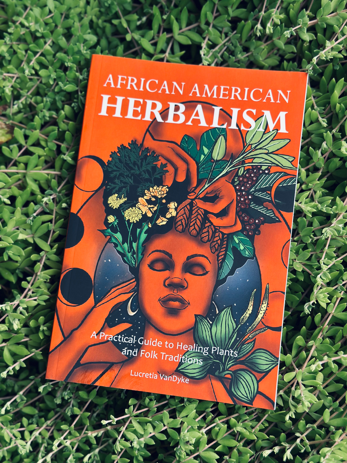 African American Herbalism: A Practical Guide to Healing Plants and Folk Traditions by Lucretia VanDyke is an excellent addition to any home herbal apothecary library.