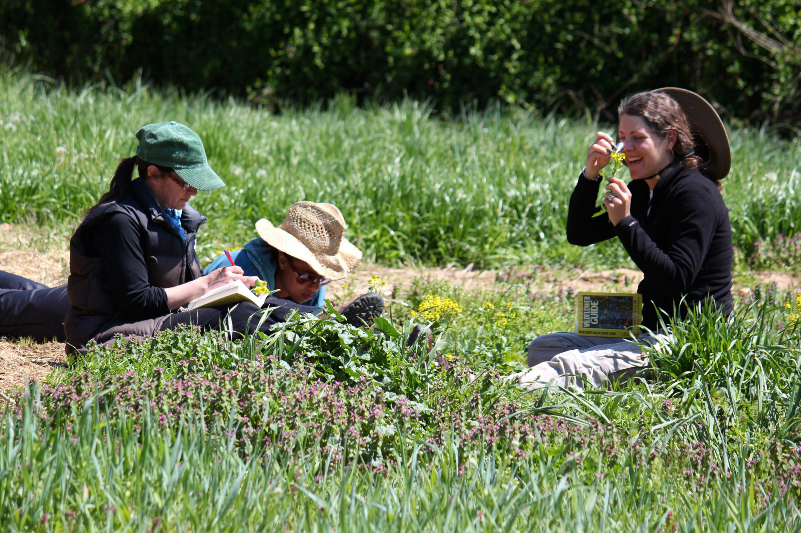 Herbalism students immersed in field study—observing, sketching, and savoring the plants around them.