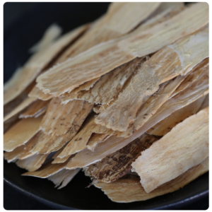 A closeup of pressed astragalus root.