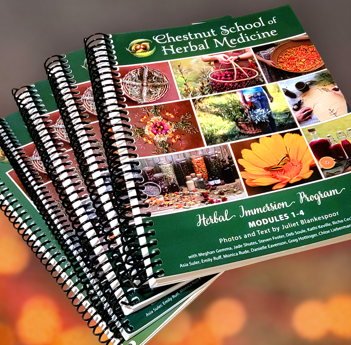 Herbal Immersion course manuals.