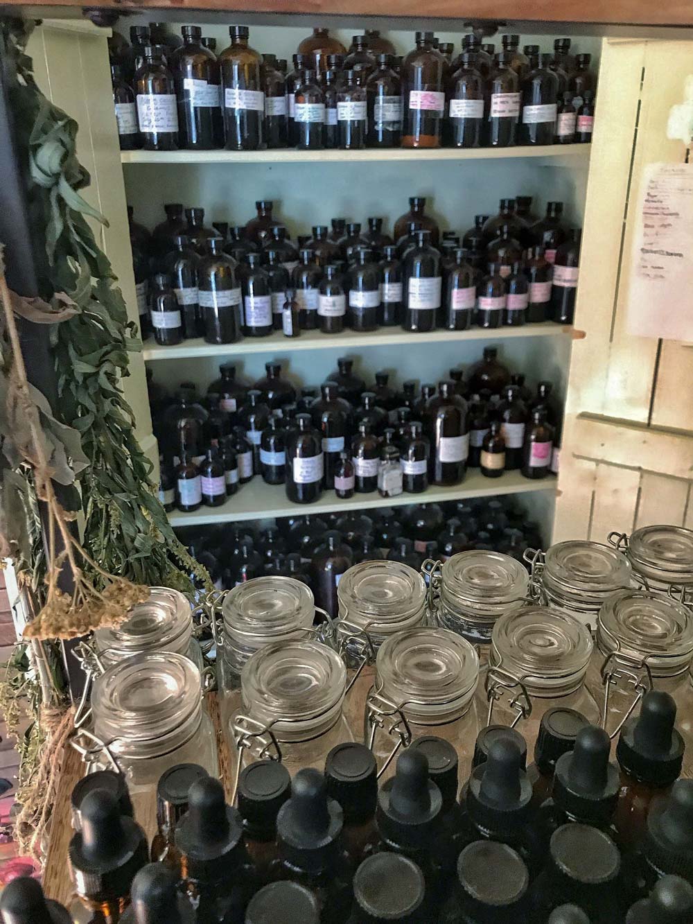 Clean jars and bottles waiting to store dried herbs and herbal preparations.