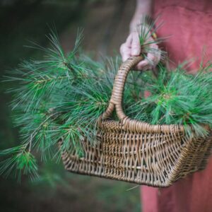 A person holds a woven basket full of pine needles.