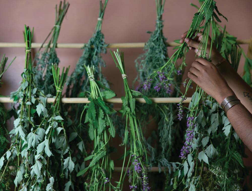 Correctly drying and storing herbs ensures you will have more potent medicine.
